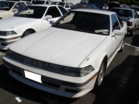 [DSC01161.JPG]