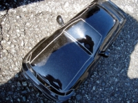 [DSC01183.JPG]