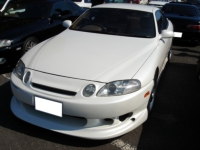 [DSC01231.JPG]